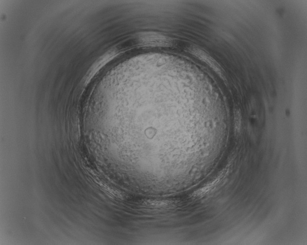 X0000077280829200611031523