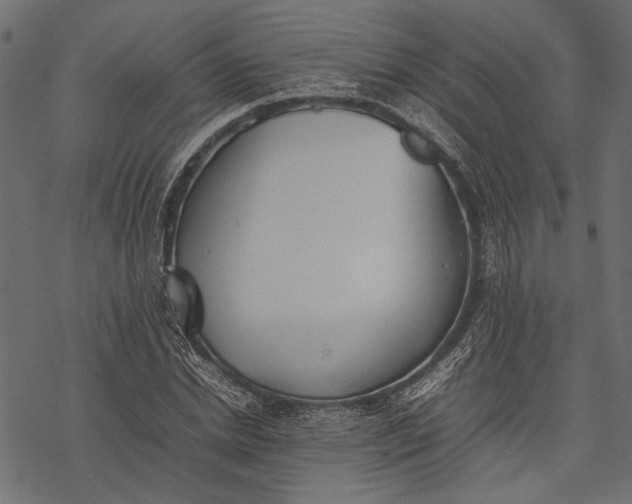 X0000077280830200611031523