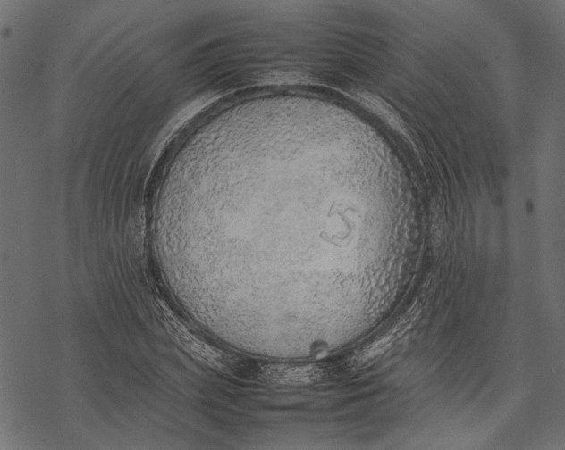 X0000077280831200611031523