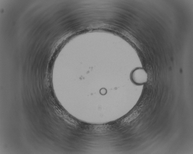 X0000077280832200611031523