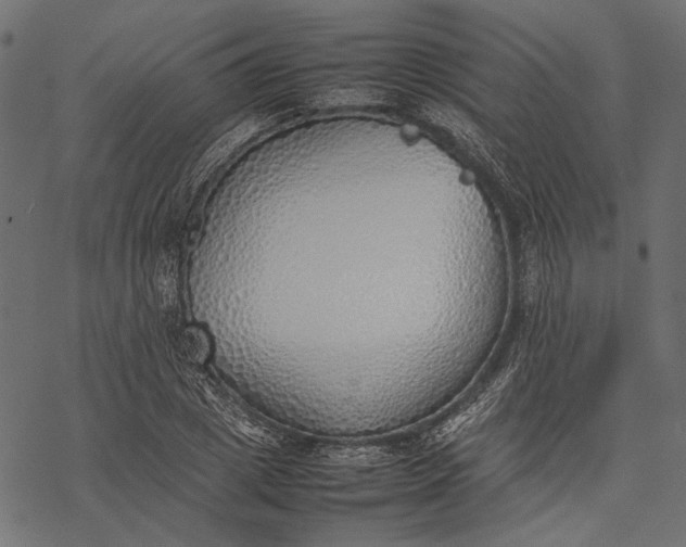 X0000077280833200611031523