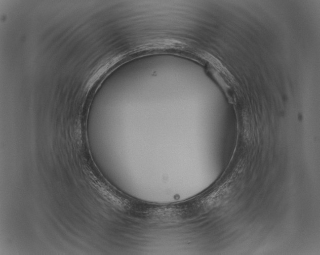 X0000077280834200611031523