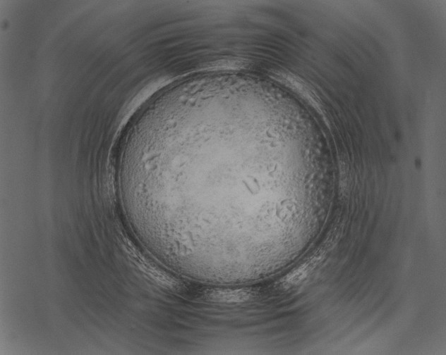 X0000077280835200611031523