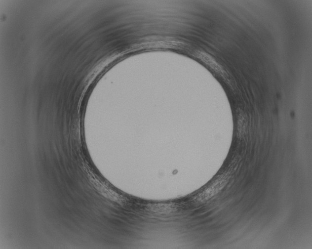 X0000077280836200611031523