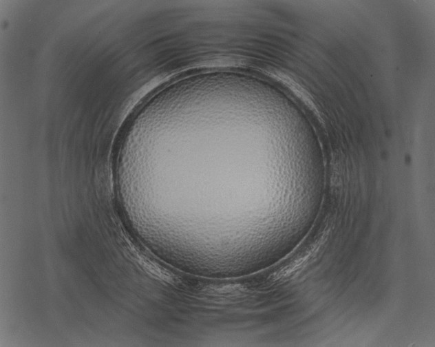 X0000077280837200611031523