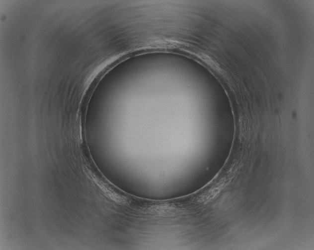 X0000077280838200611031523