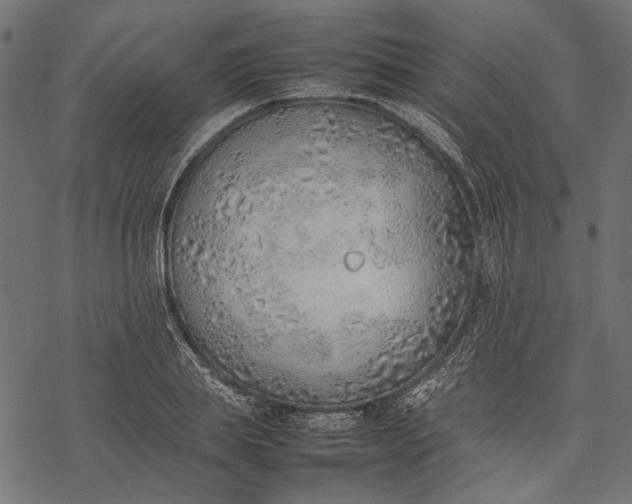 X0000077280839200611031523