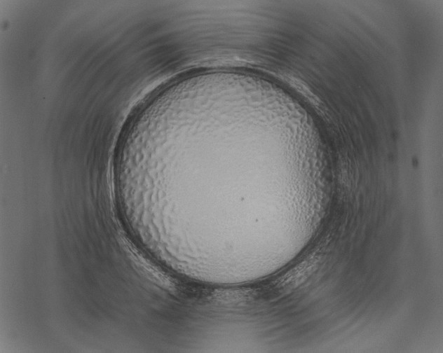 X0000077280840200611031523