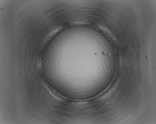 X0000077280841200611031523