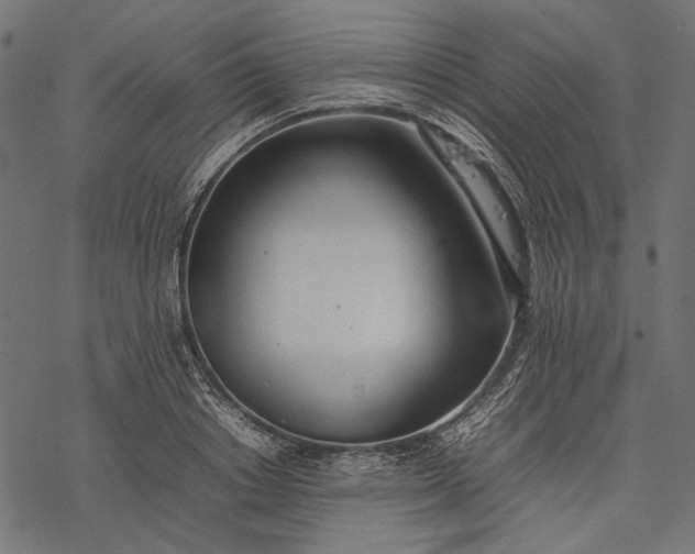 X0000077280842200611031523