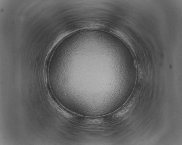 X0000077280843200611031523