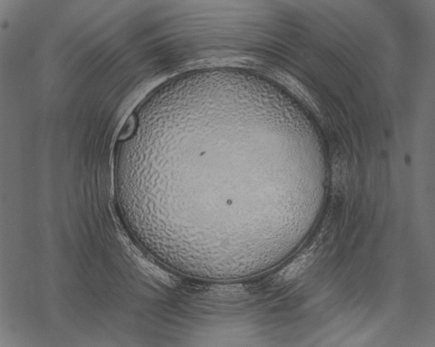 X0000077280844200611031523