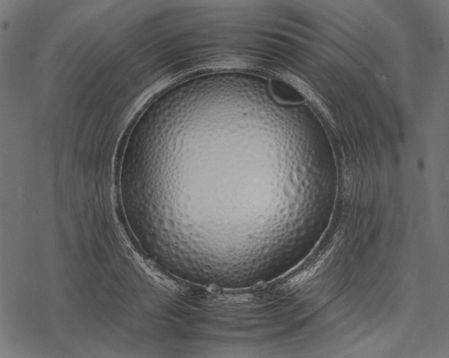 X0000077280845200611031523