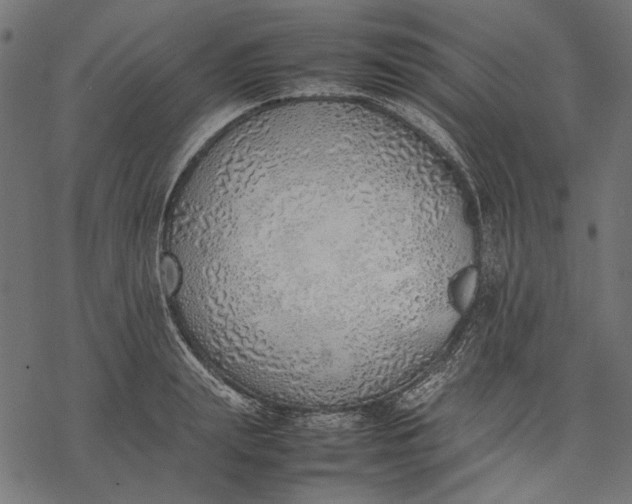 X0000077280847200611031523