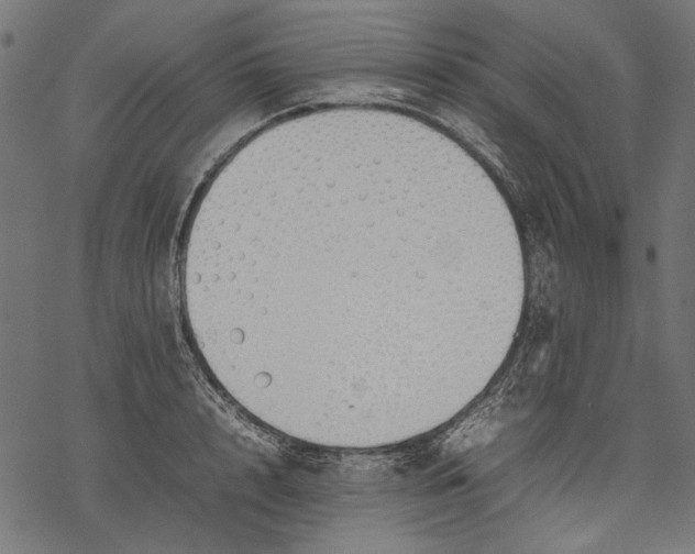 X0000077280848200611031523