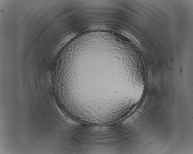 X0000077280849200611031523