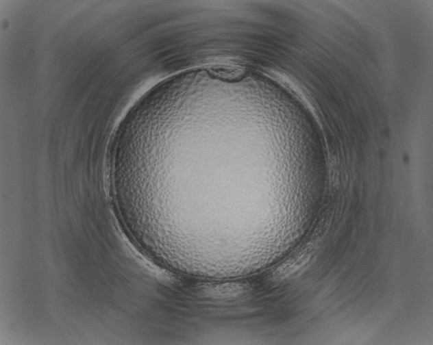 X0000077280851200611031523