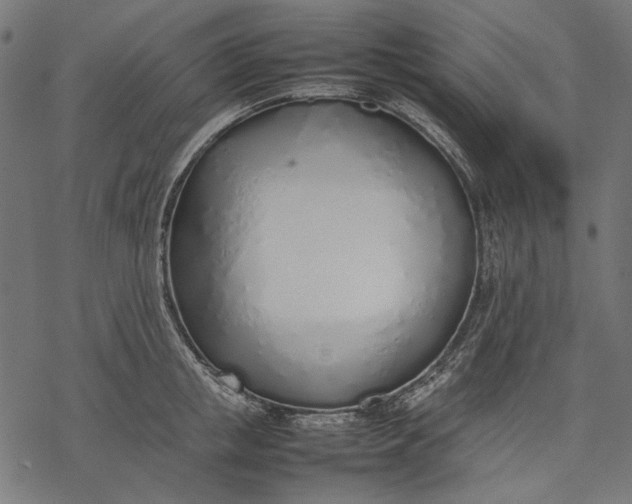 X0000077280853200611031523