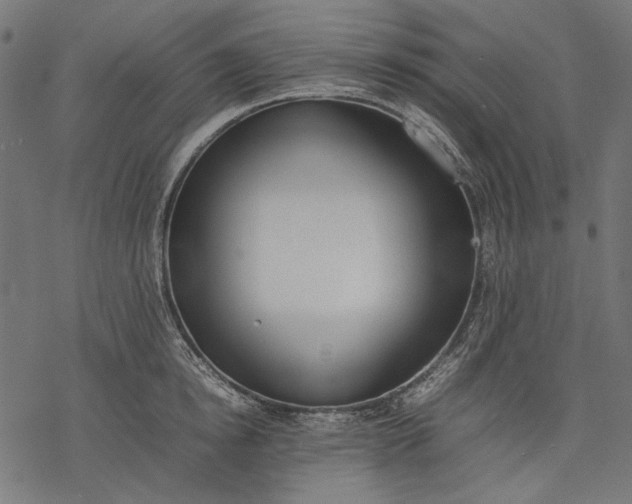 X0000077280854200611031523