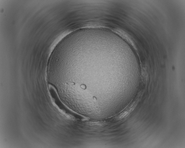 X0000077280855200611031523