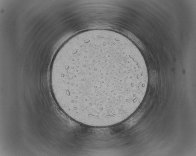 X0000077280856200611031523