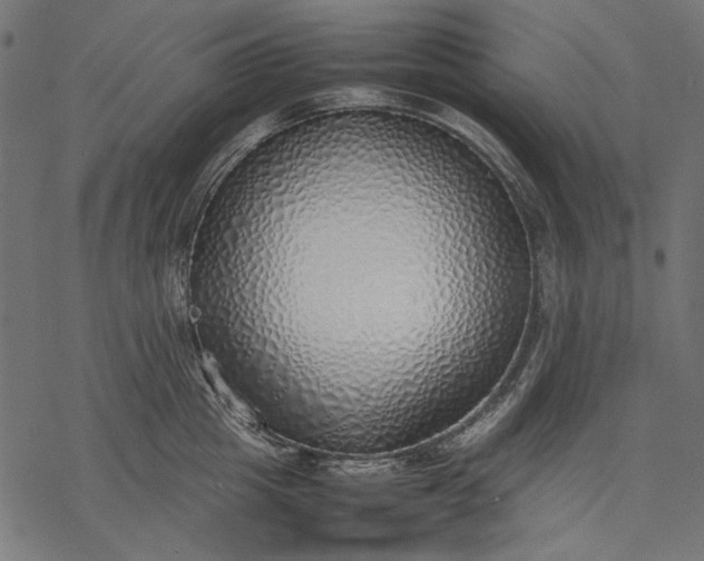 X0000077280857200611031523