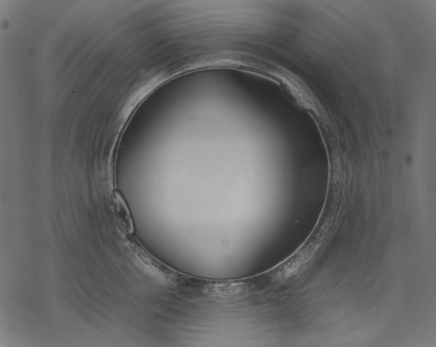 X0000077280858200611031523