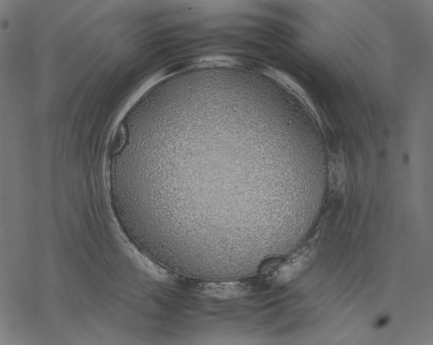 X0000077280859200611031523