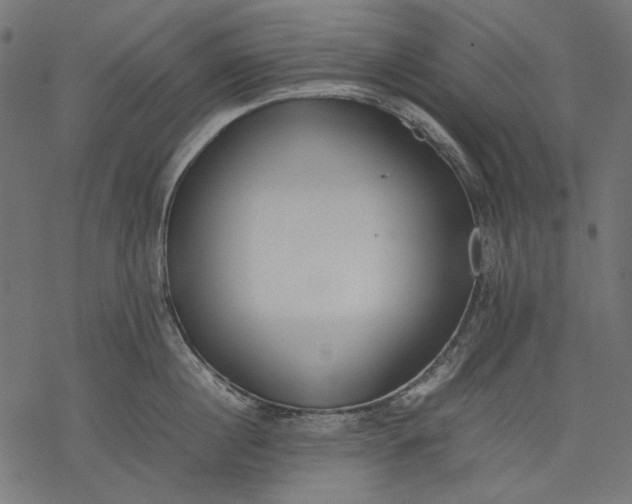 X0000077280860200611031523