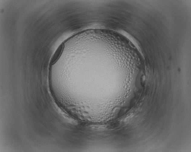 X0000077280861200611031523