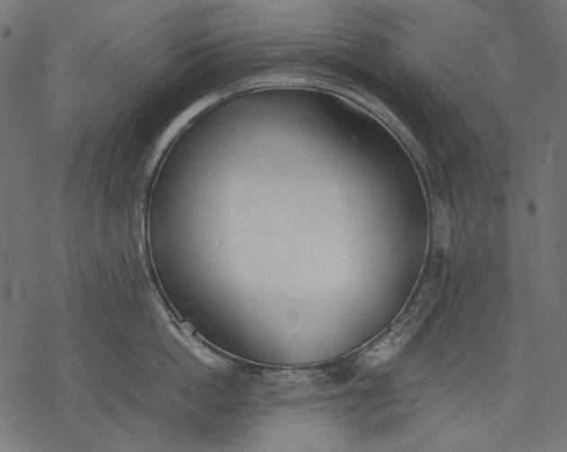 X0000077280862200611031524