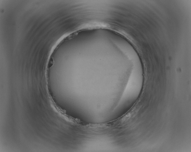 X0000077280864200611031524