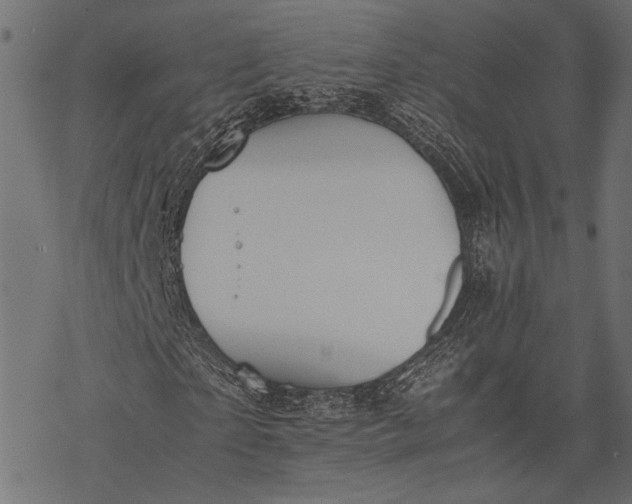 X0000077280865200611031523