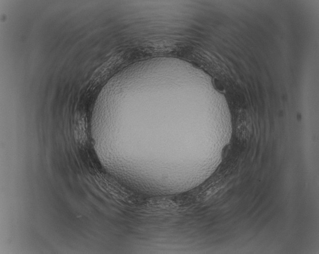 X0000077280866200611031523