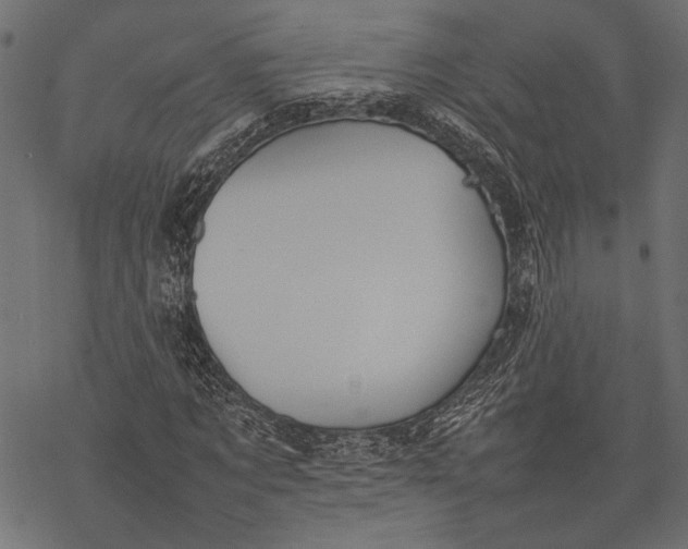 X0000077280869200611031523