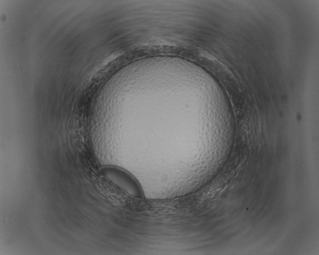 X0000077280870200611031523