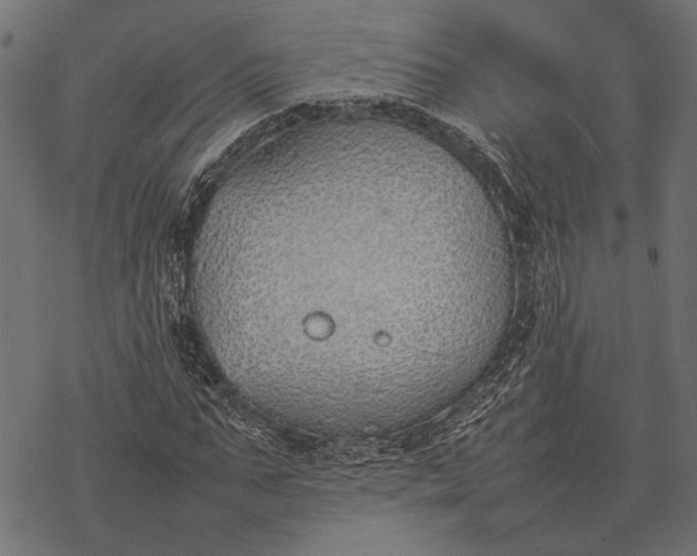 X0000077280871200611031523