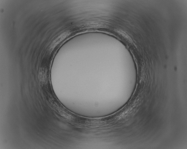 X0000077280873200611031523