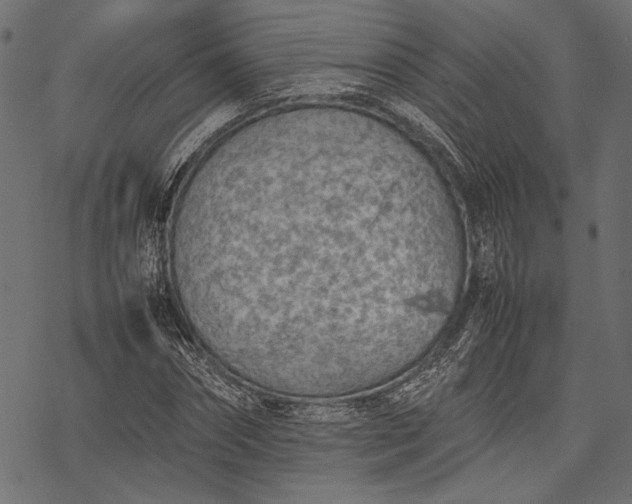 X0000077280874200611031523