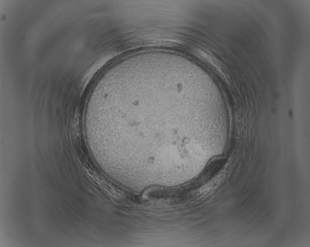 X0000077280875200611031523