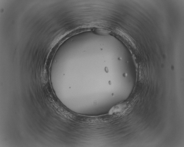 X0000077280876200611031523