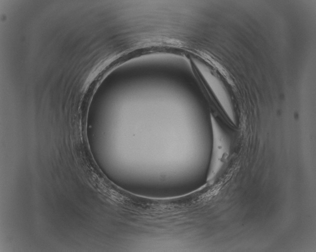 X0000077280877200611031523