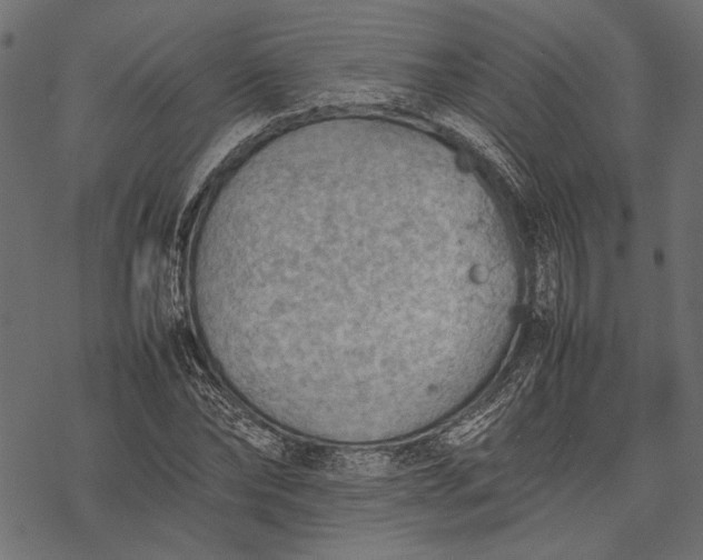 X0000077280878200611031523