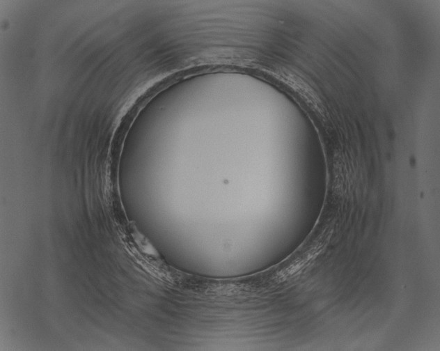 X0000077280880200611031523