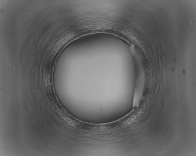 X0000077280881200611031522