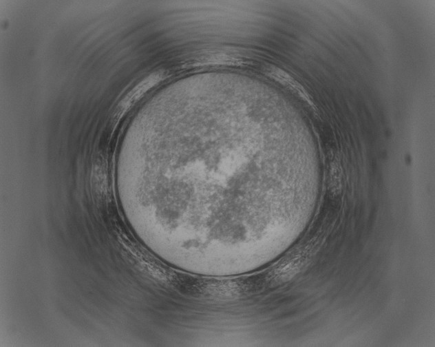 X0000077280882200611031522