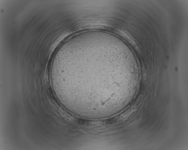 X0000077280883200611031522