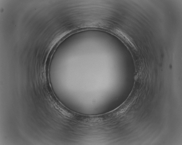 X0000077280884200611031522