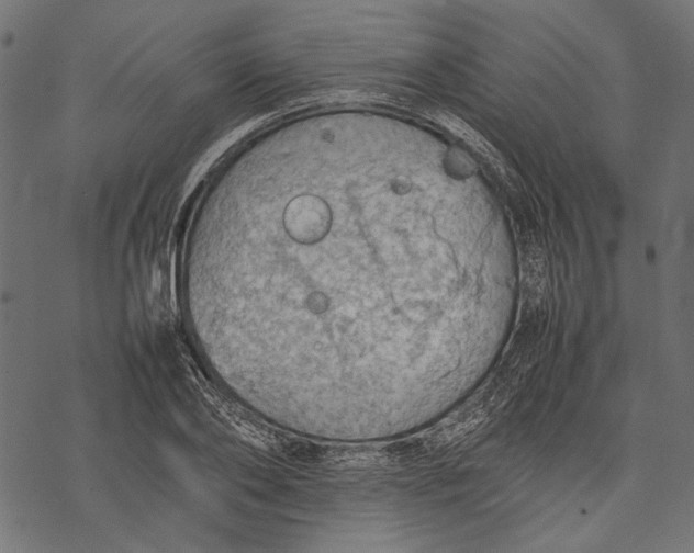 X0000077280886200611031522