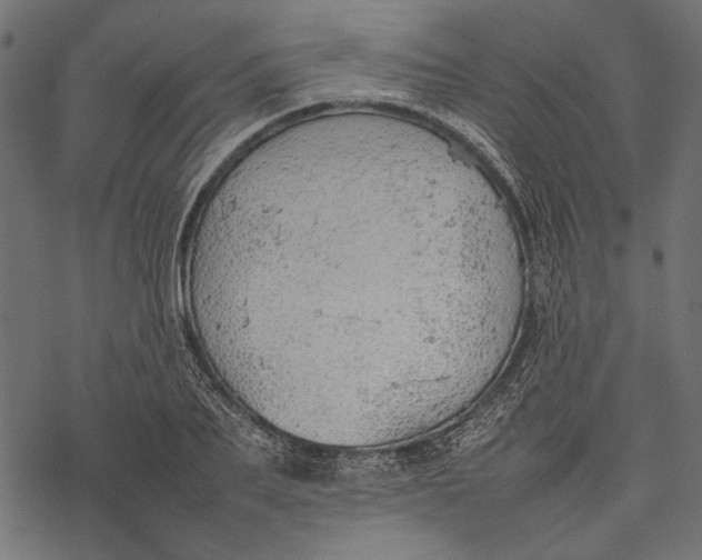 X0000077280887200611031522